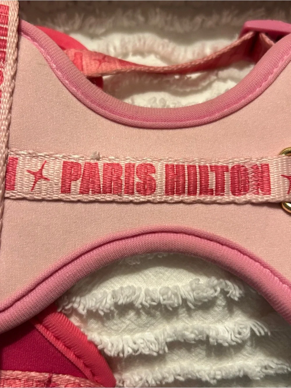 Paris Hilton paris hilton