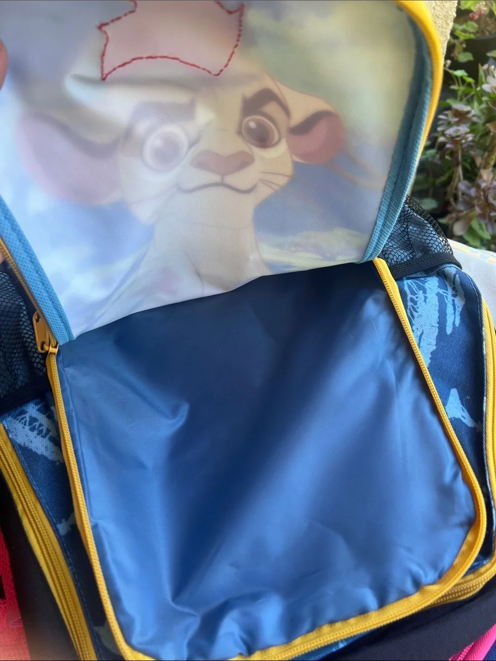 Disney themed kids