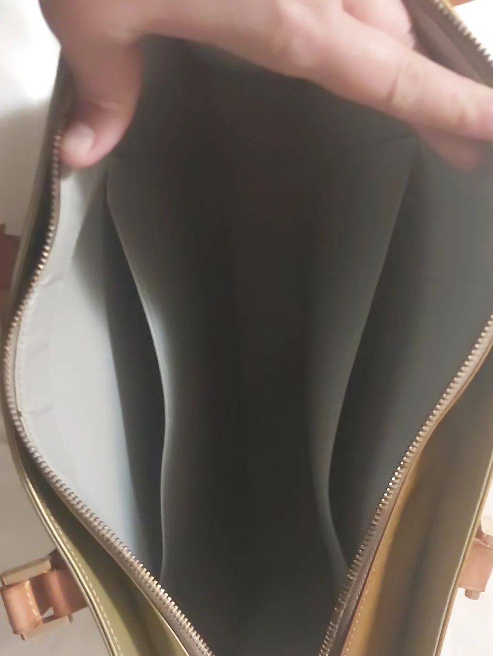 Louis Vuitton authentic louis