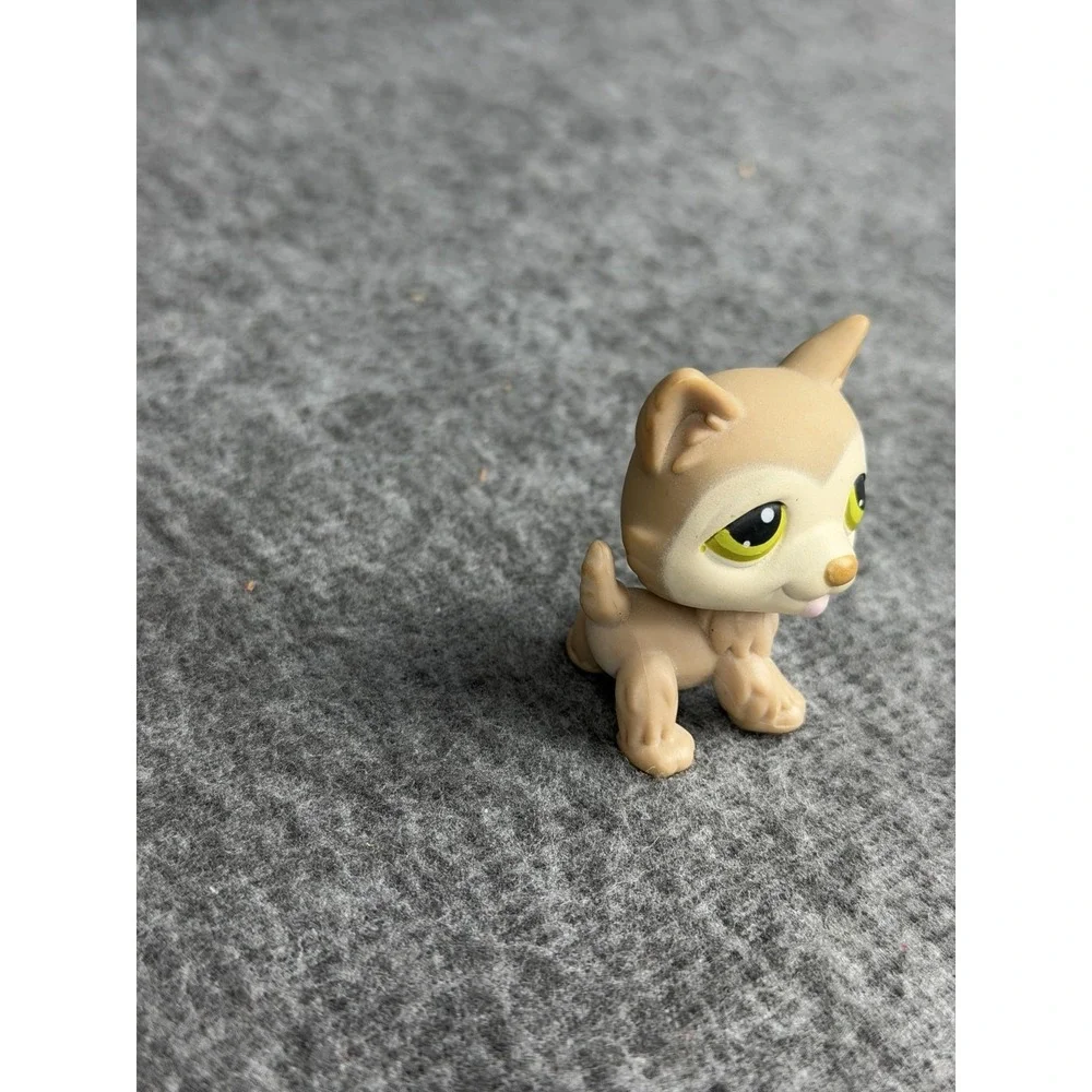 Hasbro littlest pet