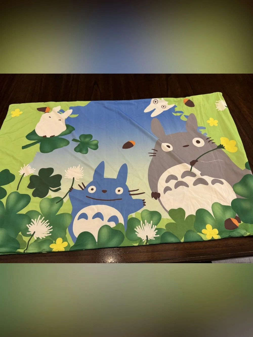 unbranded cute totoro