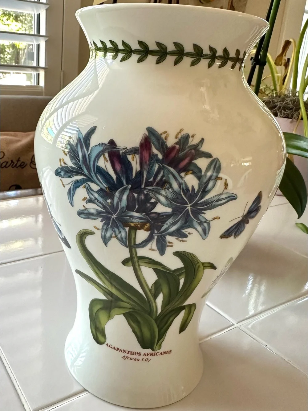 Portmeirion Botanic Garden Agapanthus African Lily 10” Vase England