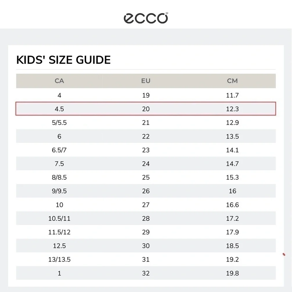 Ecco brand style