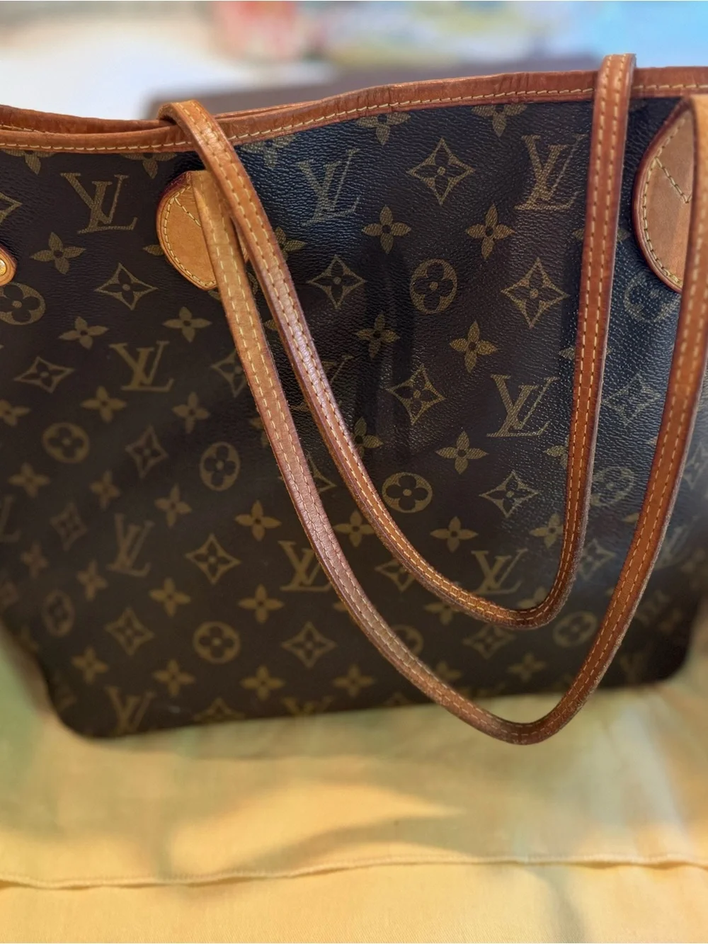 Louis Vuitton Neverfull MM Bag