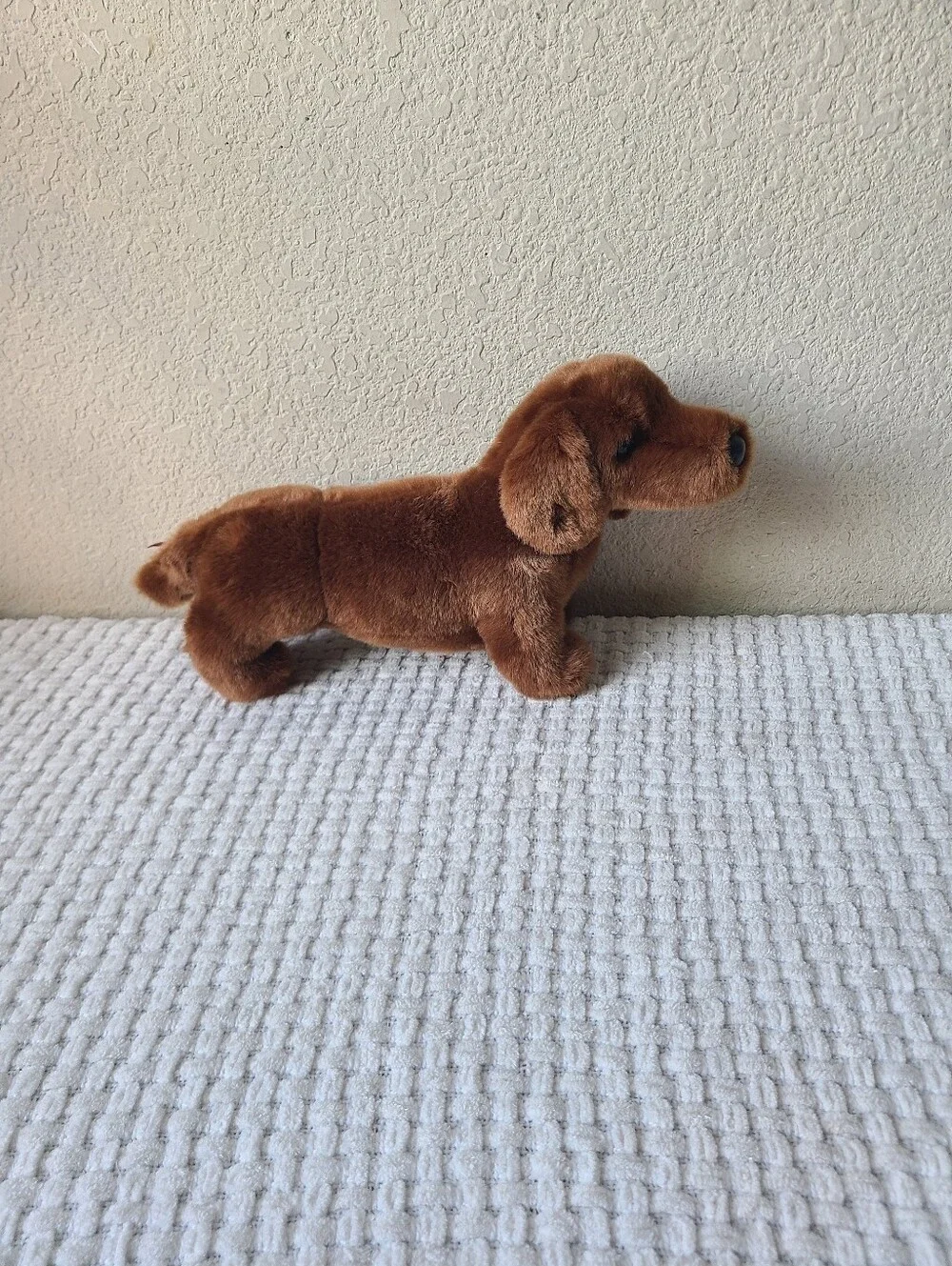 Douglas dilly dachshund