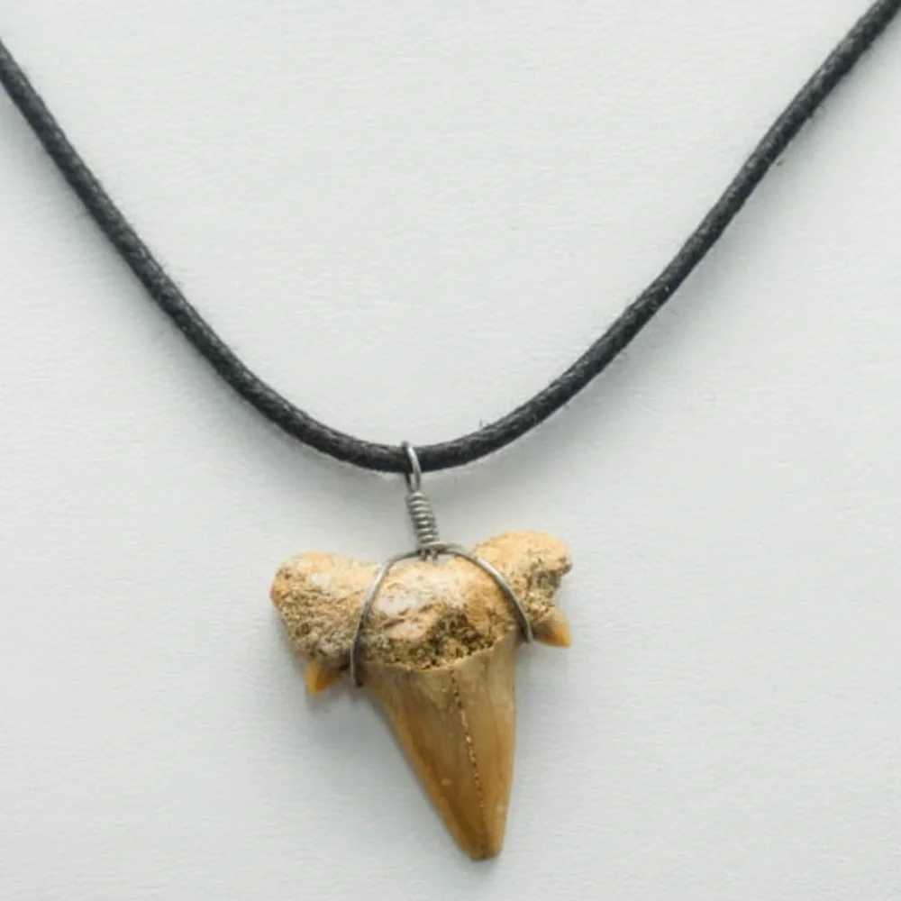 Shark Tooth Pendant With Black Cord Necklace