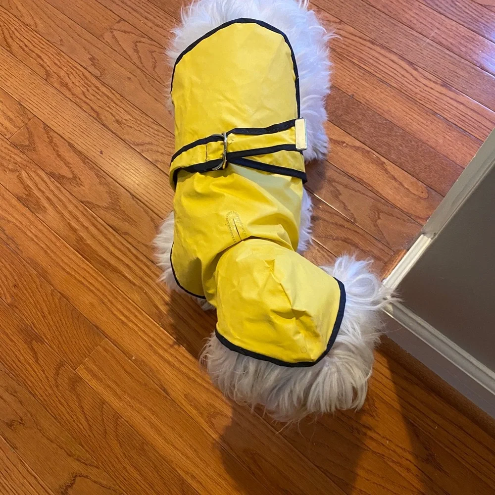 doggiduds yellow hooded