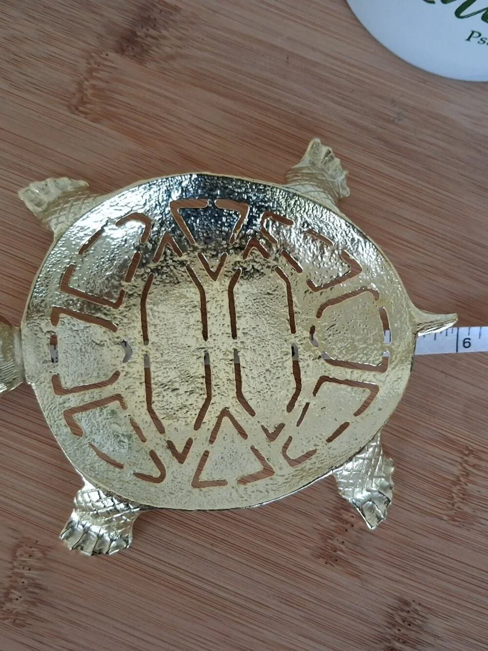 Ben Rickert delightful turtle