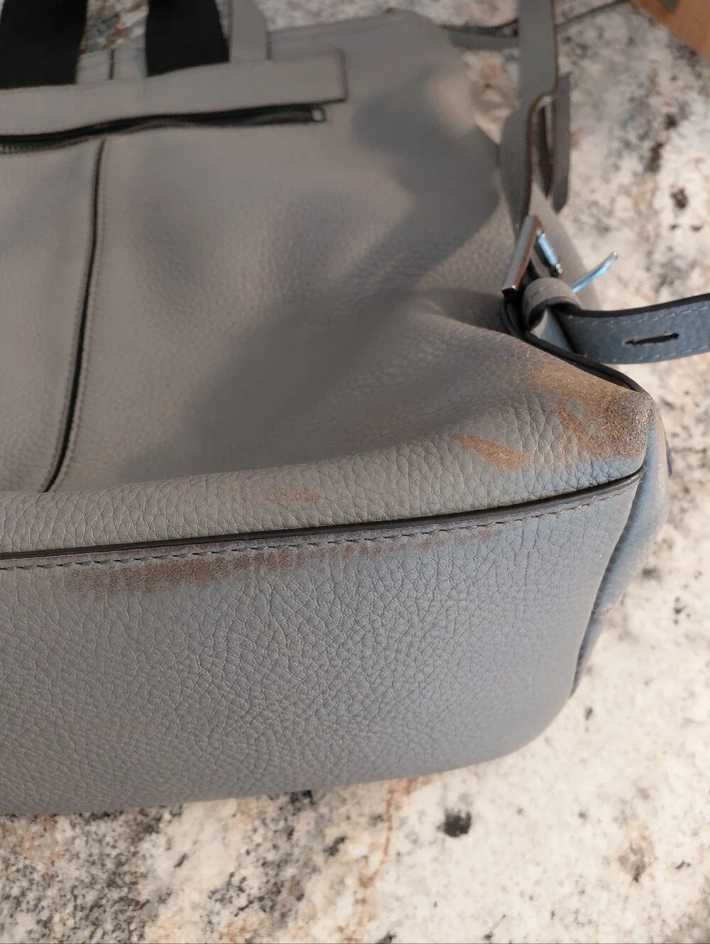 Botkier cute gray