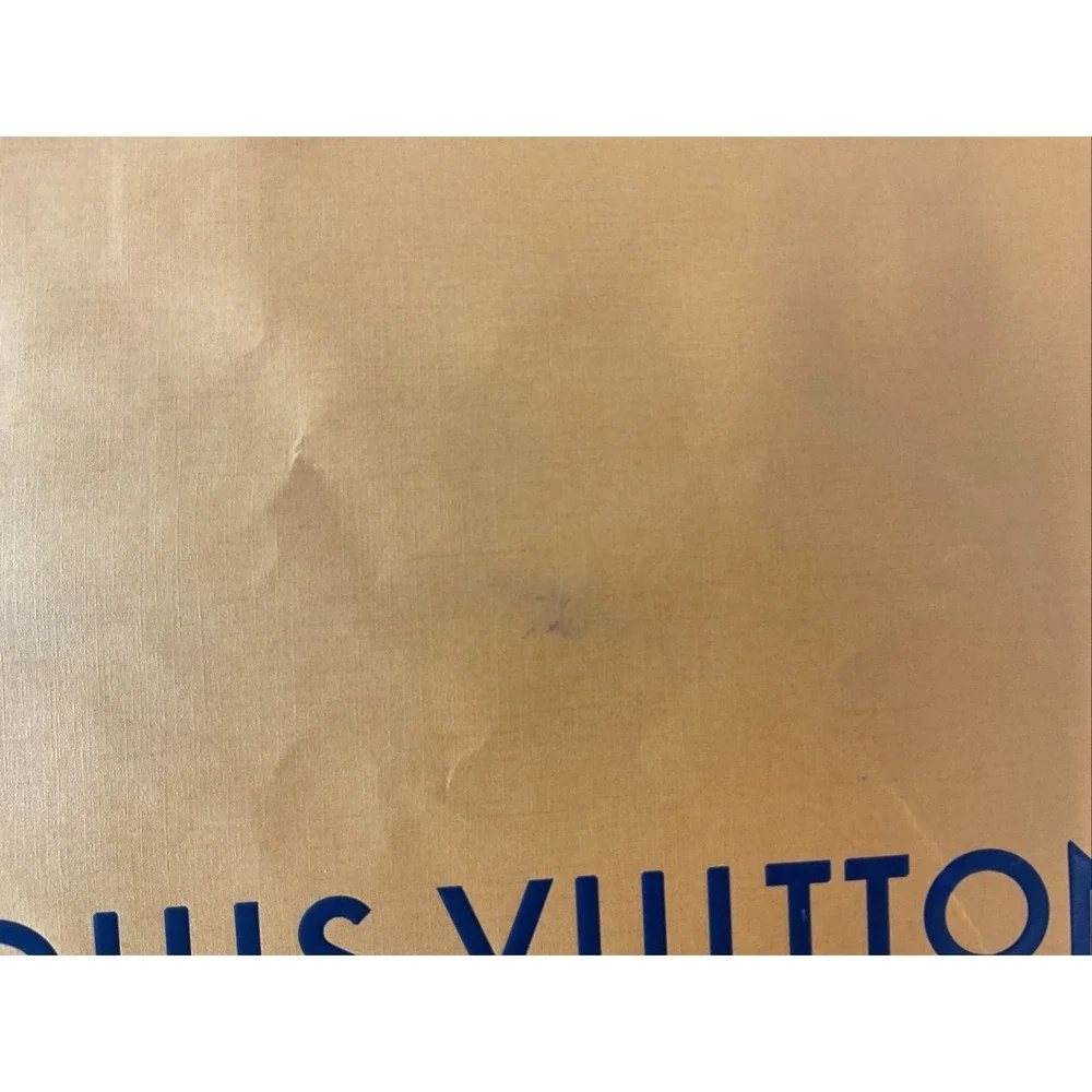 Louis Vuitton good used