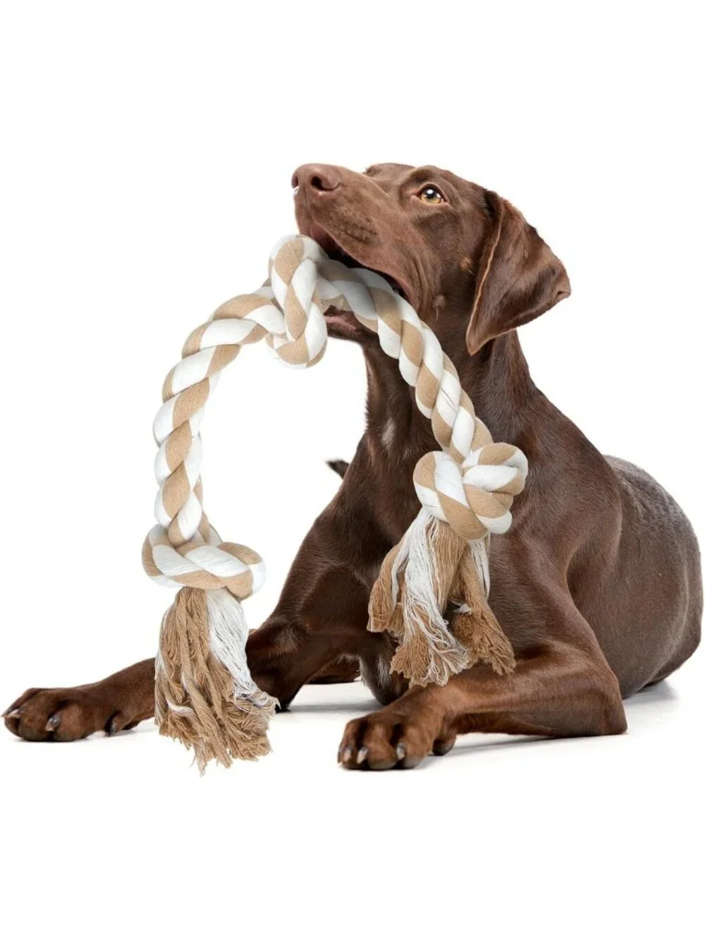 Durable Dog Rope Toy for Large Aggressive Chewers, Natural Cotton 3 Knots