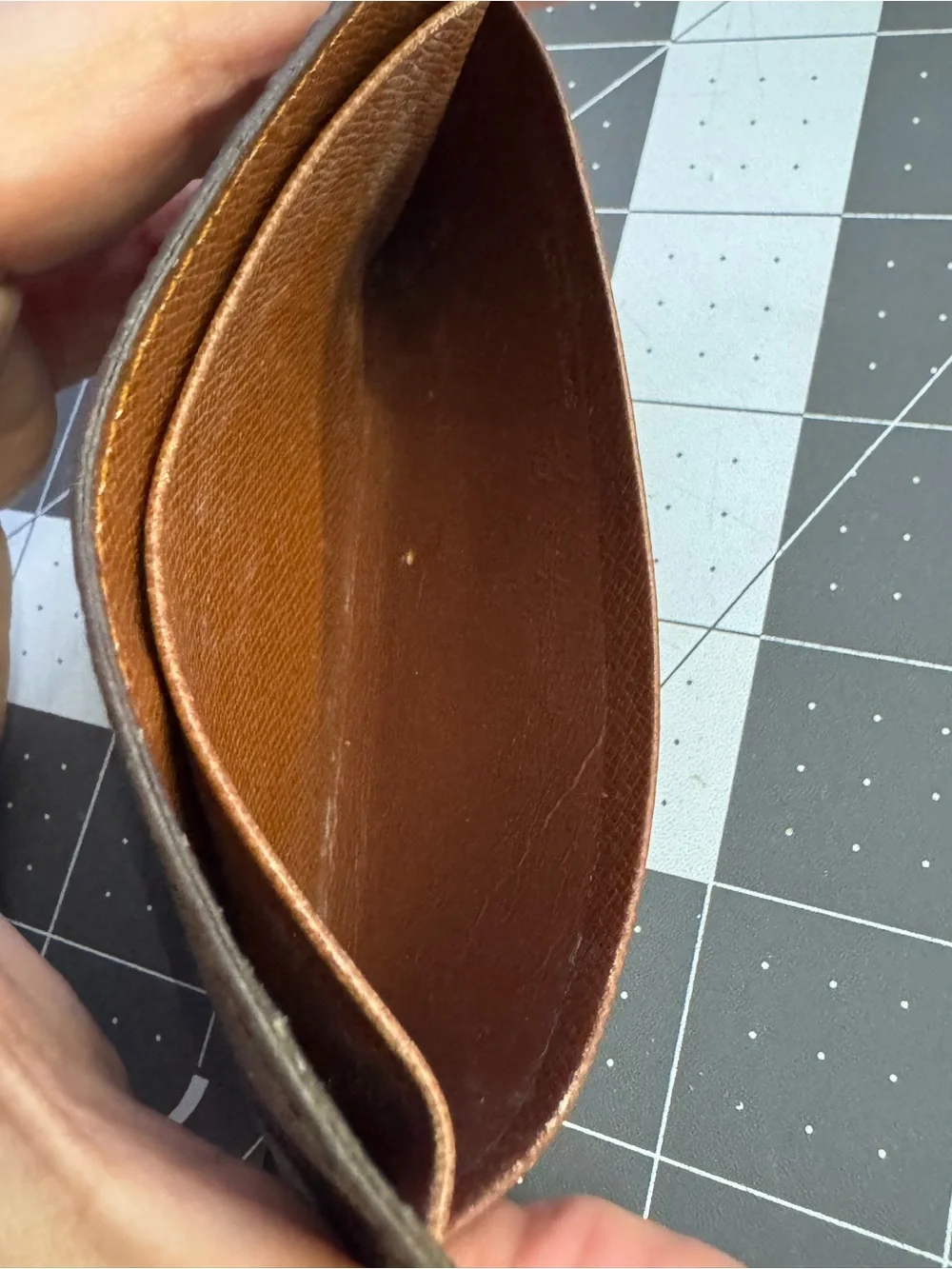 Louis Vuitton iconic louis