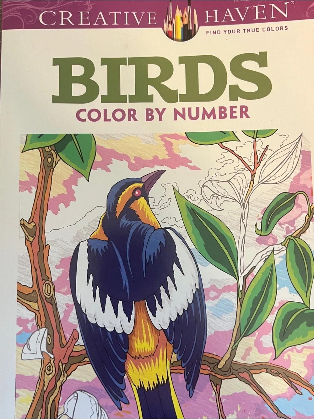 N/A adult coloring