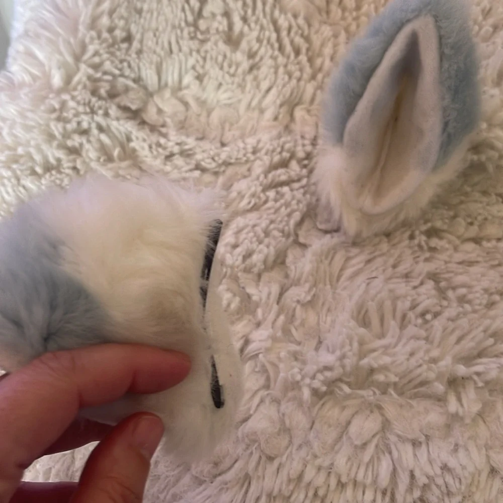 None fuzzy white