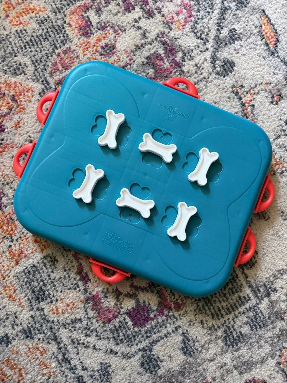 Outward Hound interactive dog