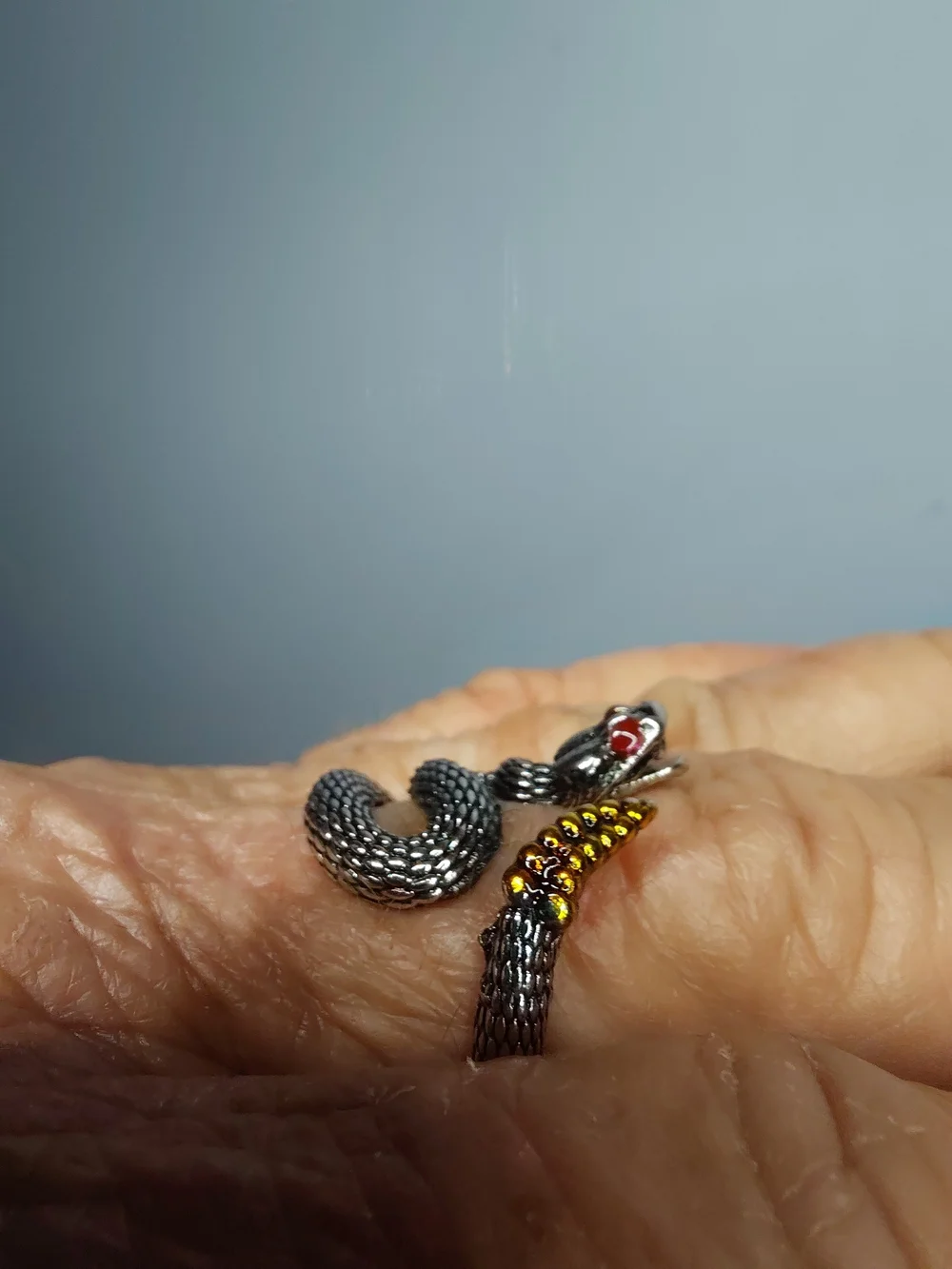 N/A bold snake