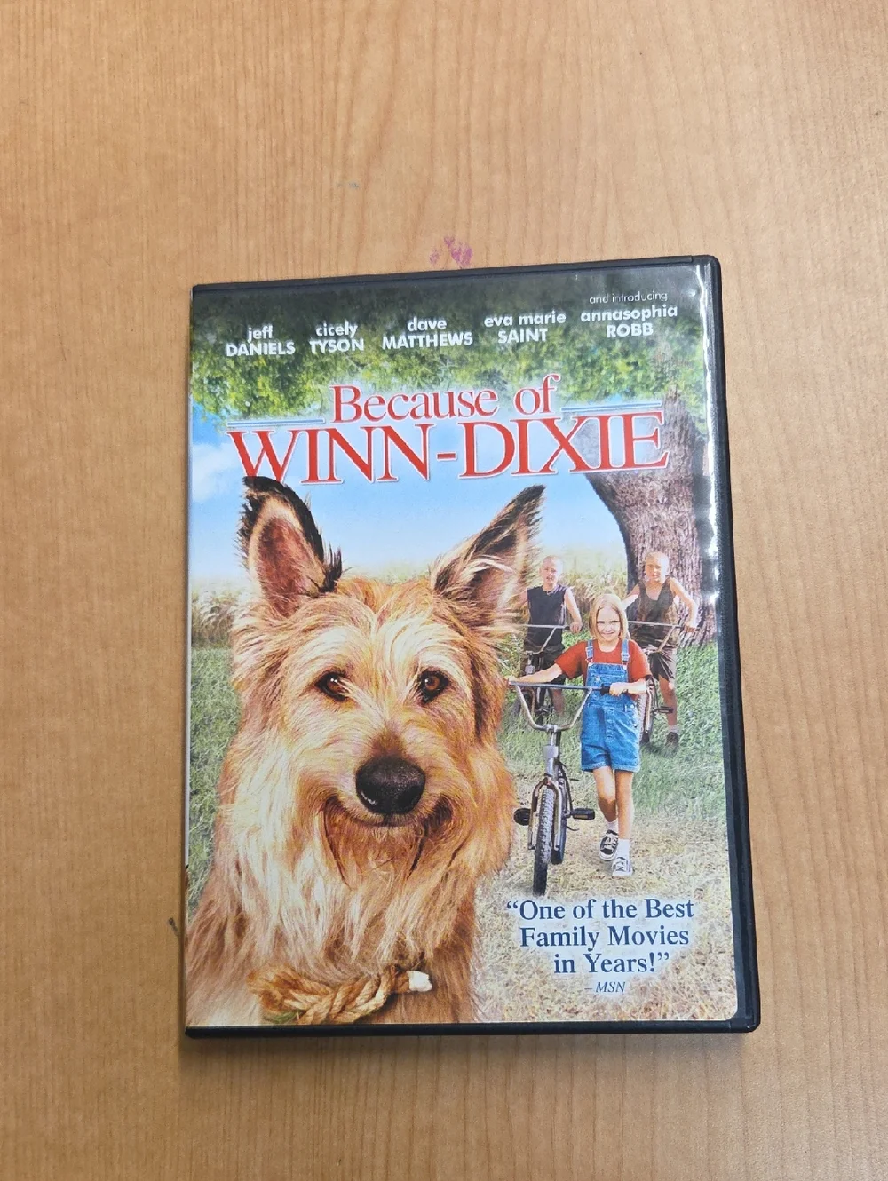winn dixie lassie come