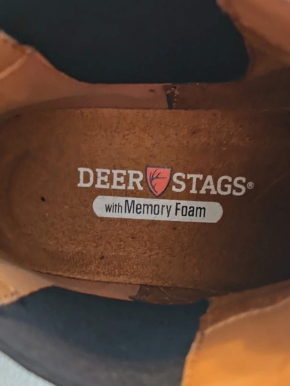 Deer Stags pre owned