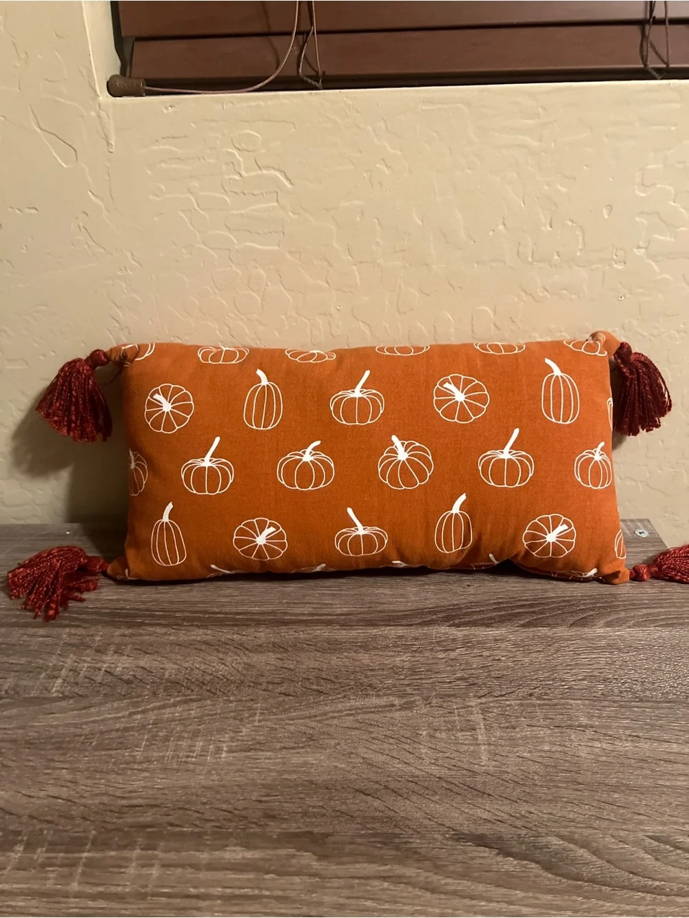 Target Bullseye Tassel Throw Pillow Pumpkins Orange White Lumbar Fall Autumn NWT