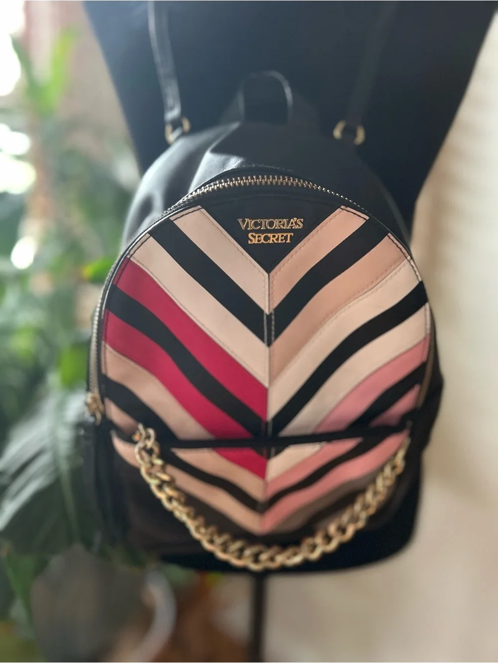 Victorias Secret 🦋victoria secret