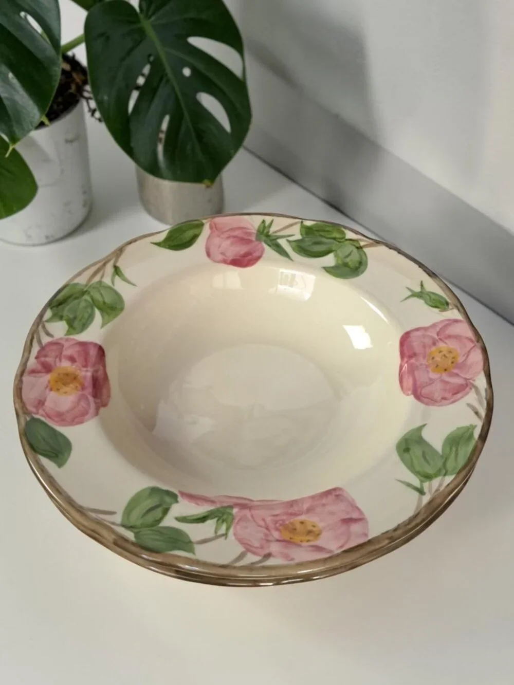 Franciscan desert rose