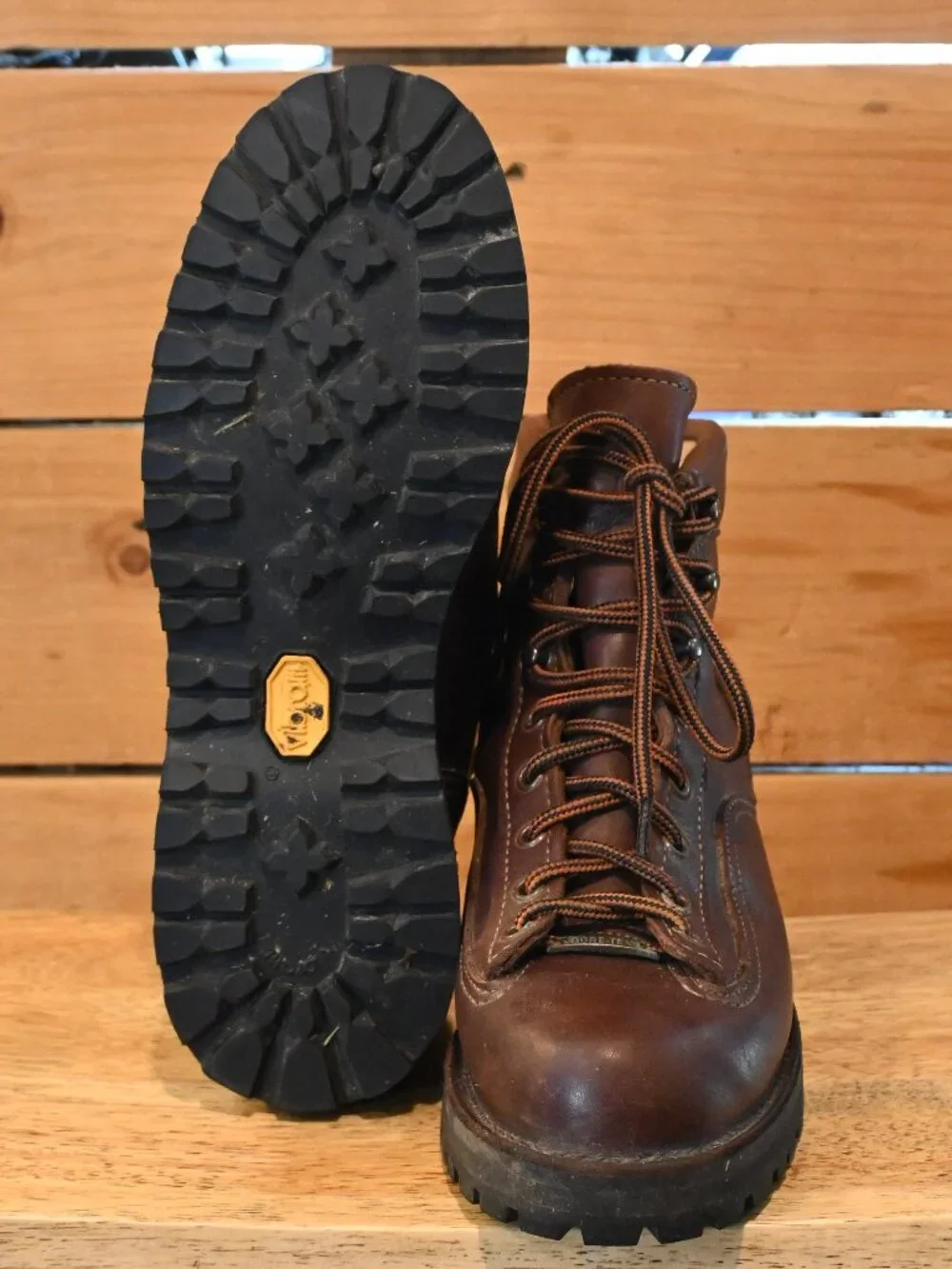 Danner explorer all