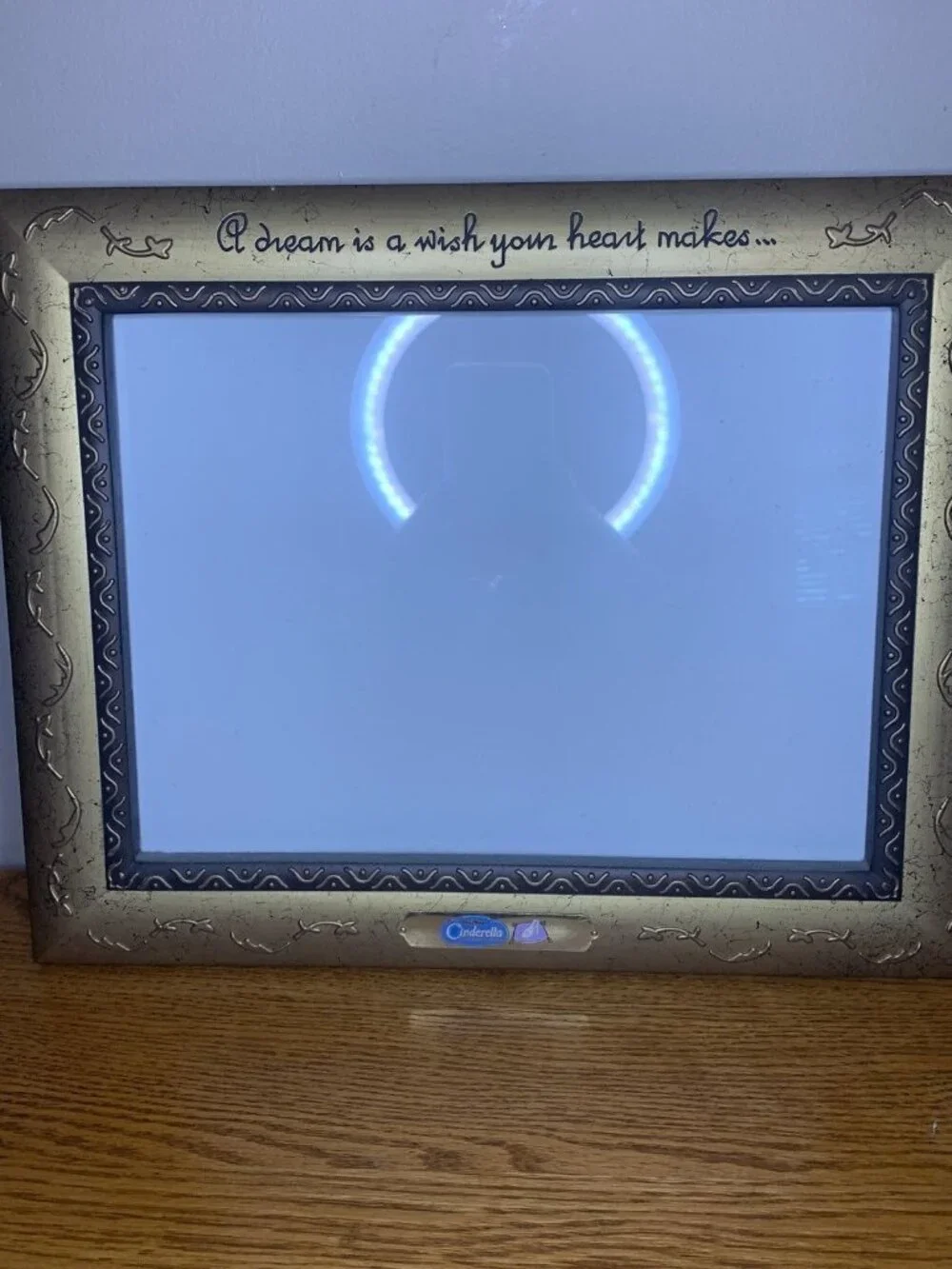 Cinderella disney Picture Frame a dream is a wish your heart makes