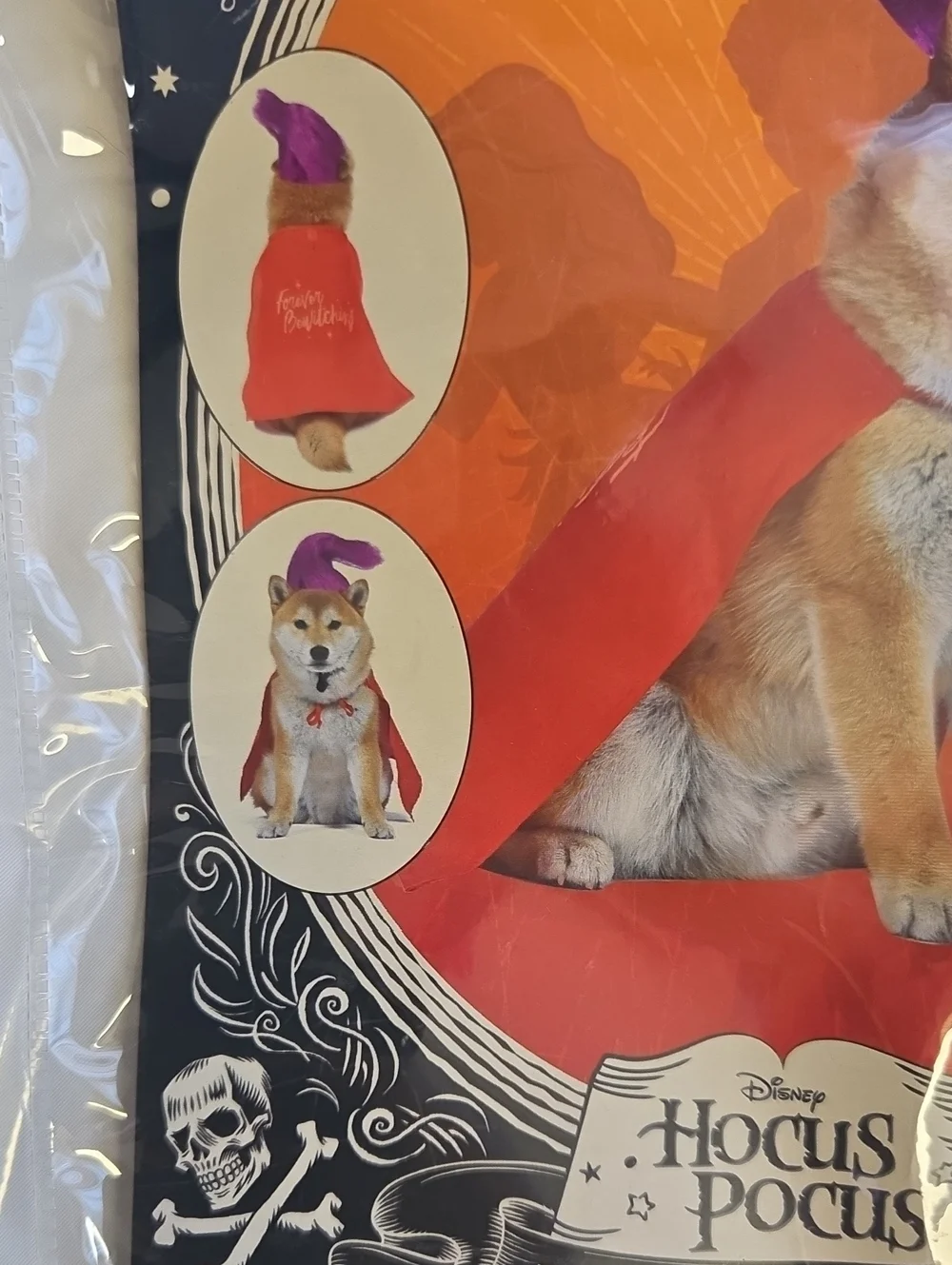 Disney official mary