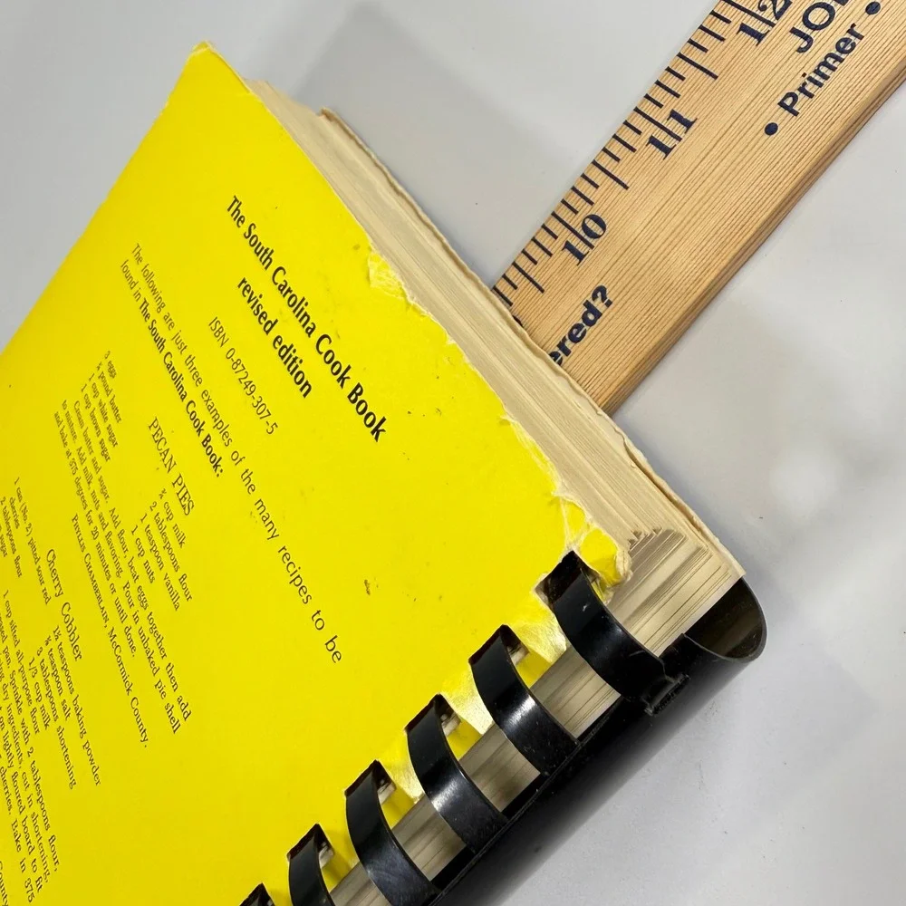 University of South Carolina Press charleston homemaker