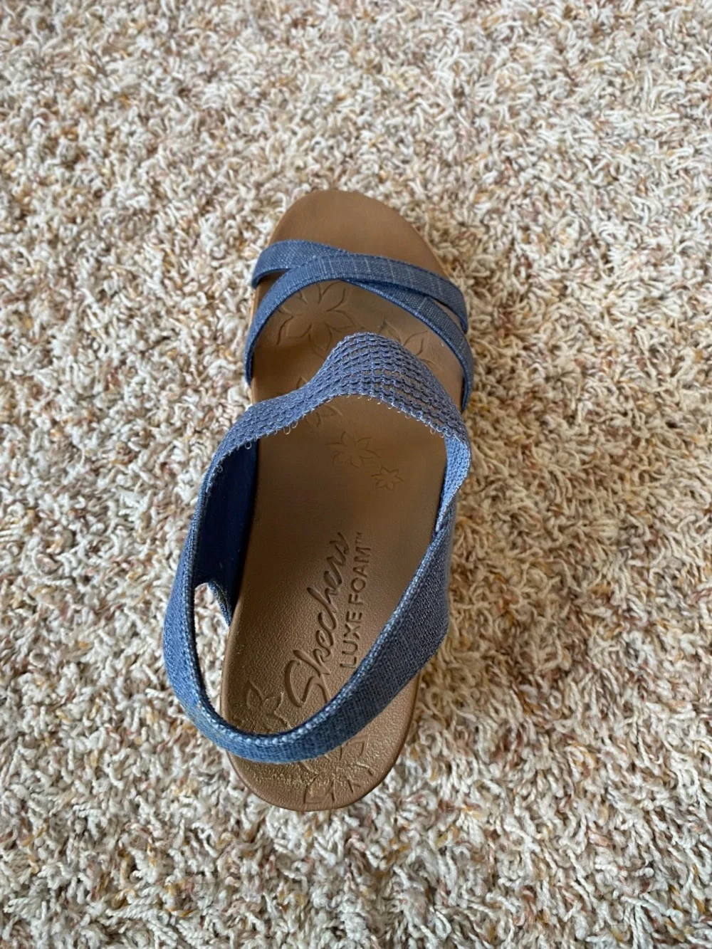Skechers only worn