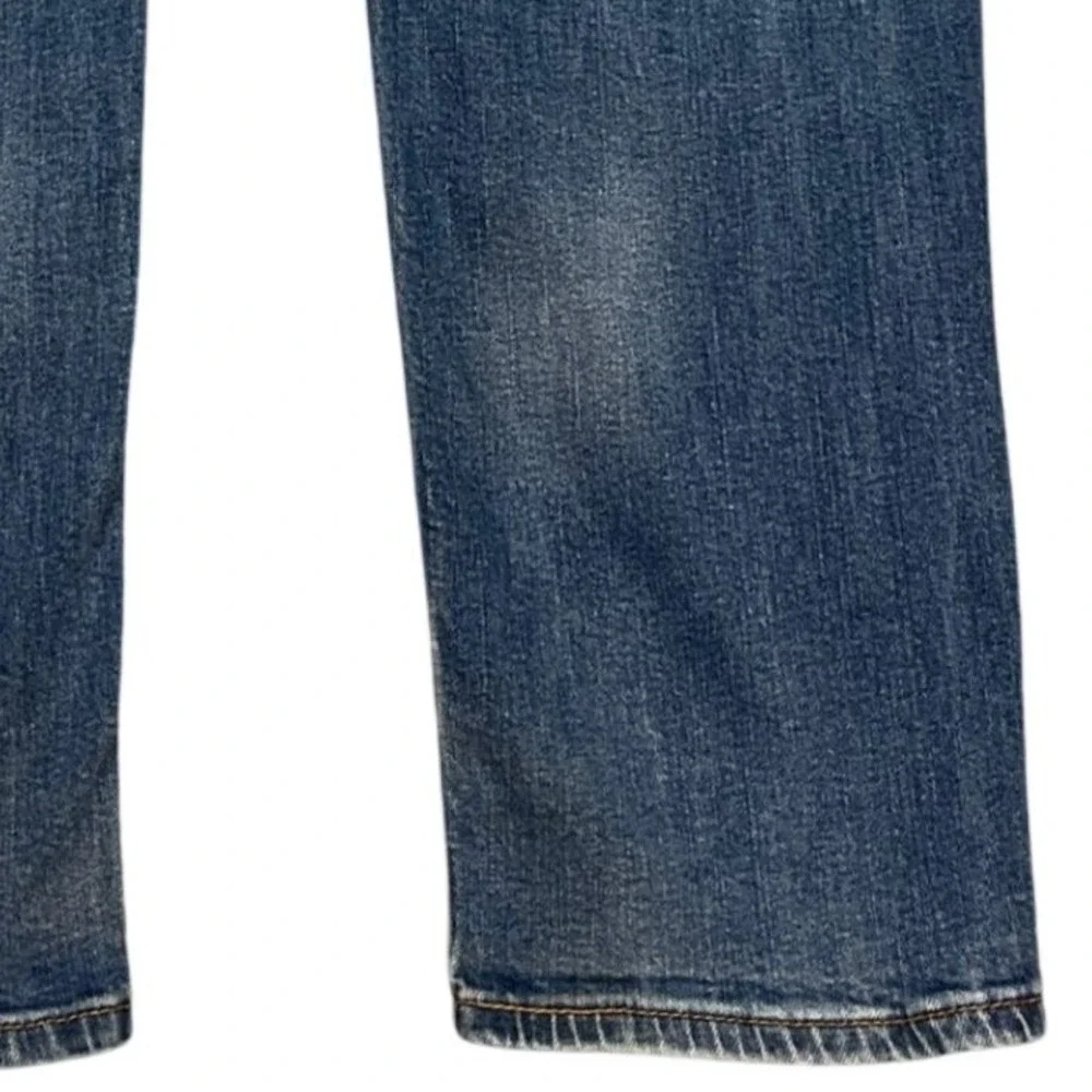 Levis levi 541