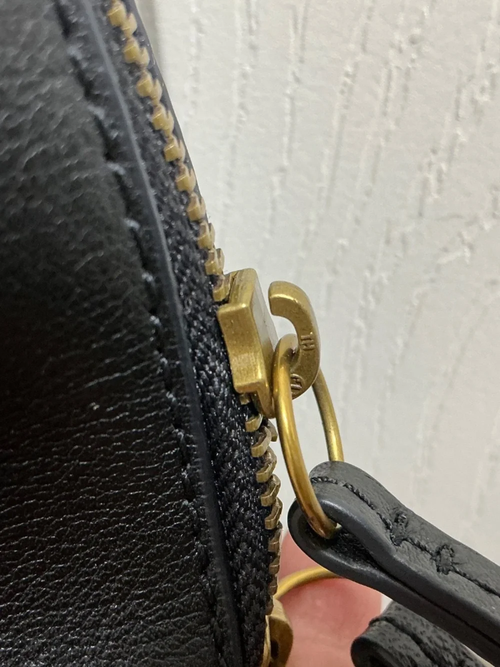 Fossil black pebbled