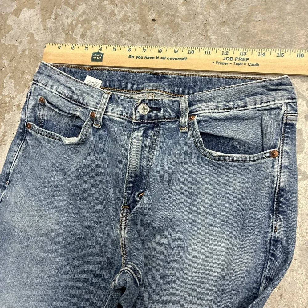 Levis levis 541