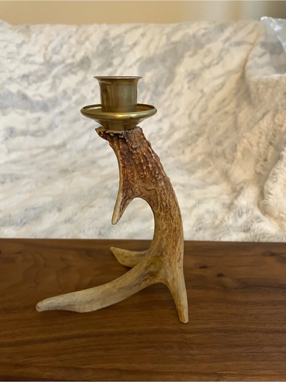 Antler Candlestick Holder with Brass Cup - Natural Brown