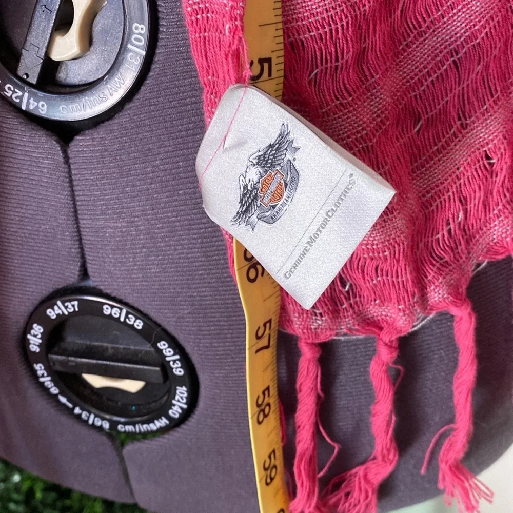 Harley-Davidson embrace iconic