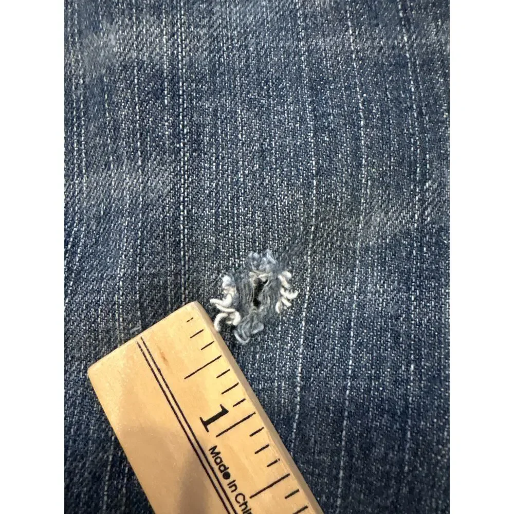 Levis levis 559