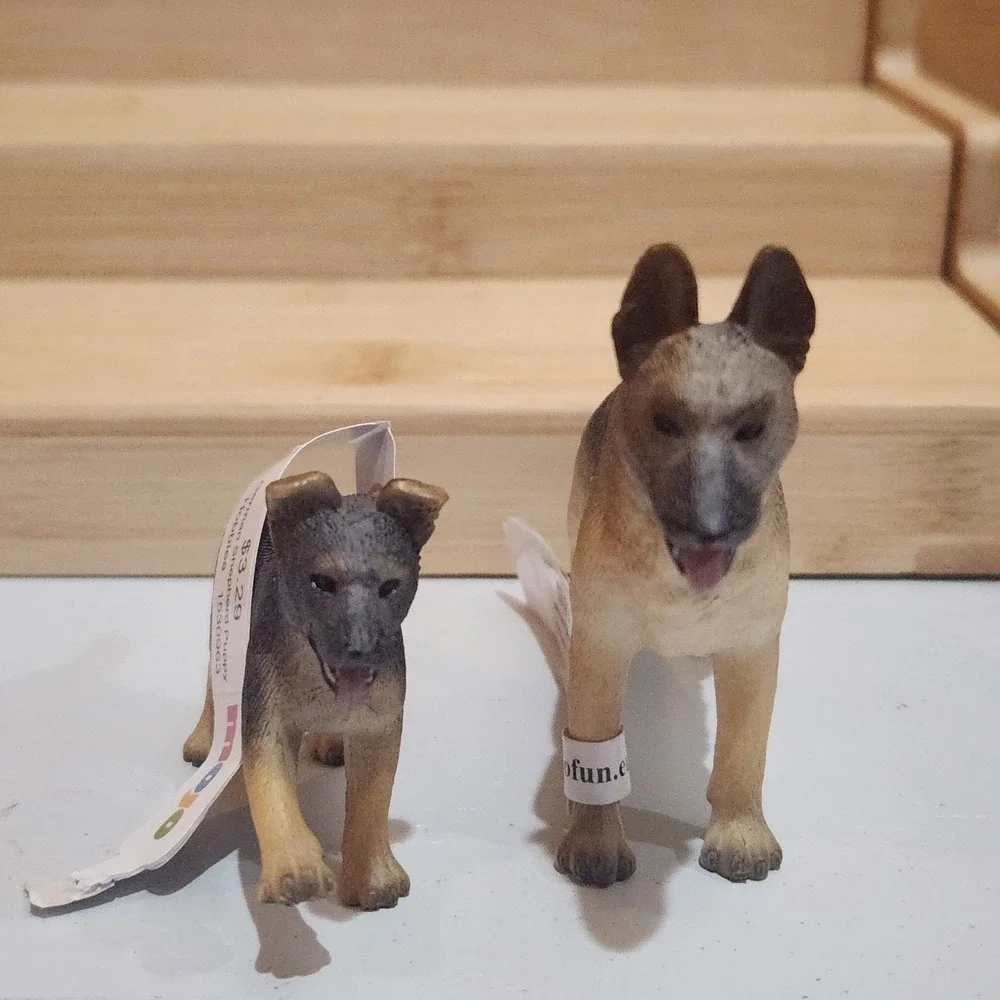 Mojo german shepherd