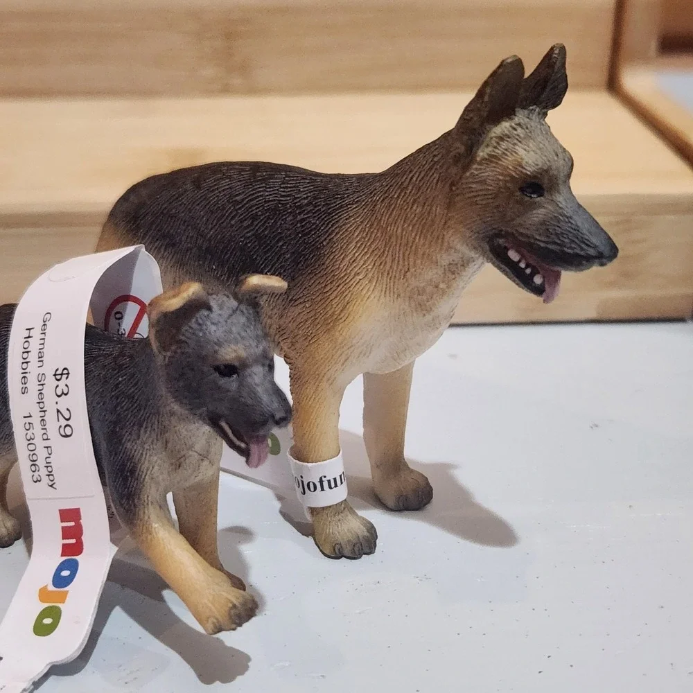 Mojo german shepherd