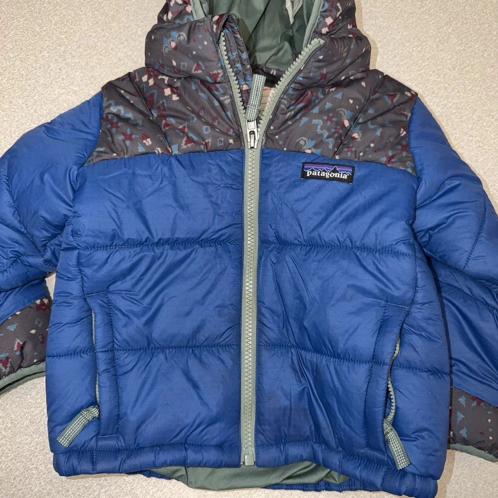 Patagonia toddler 2t