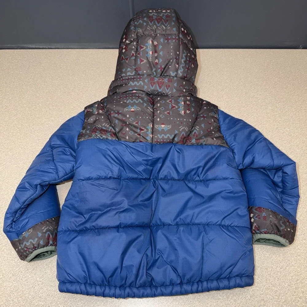 Patagonia toddler 2t
