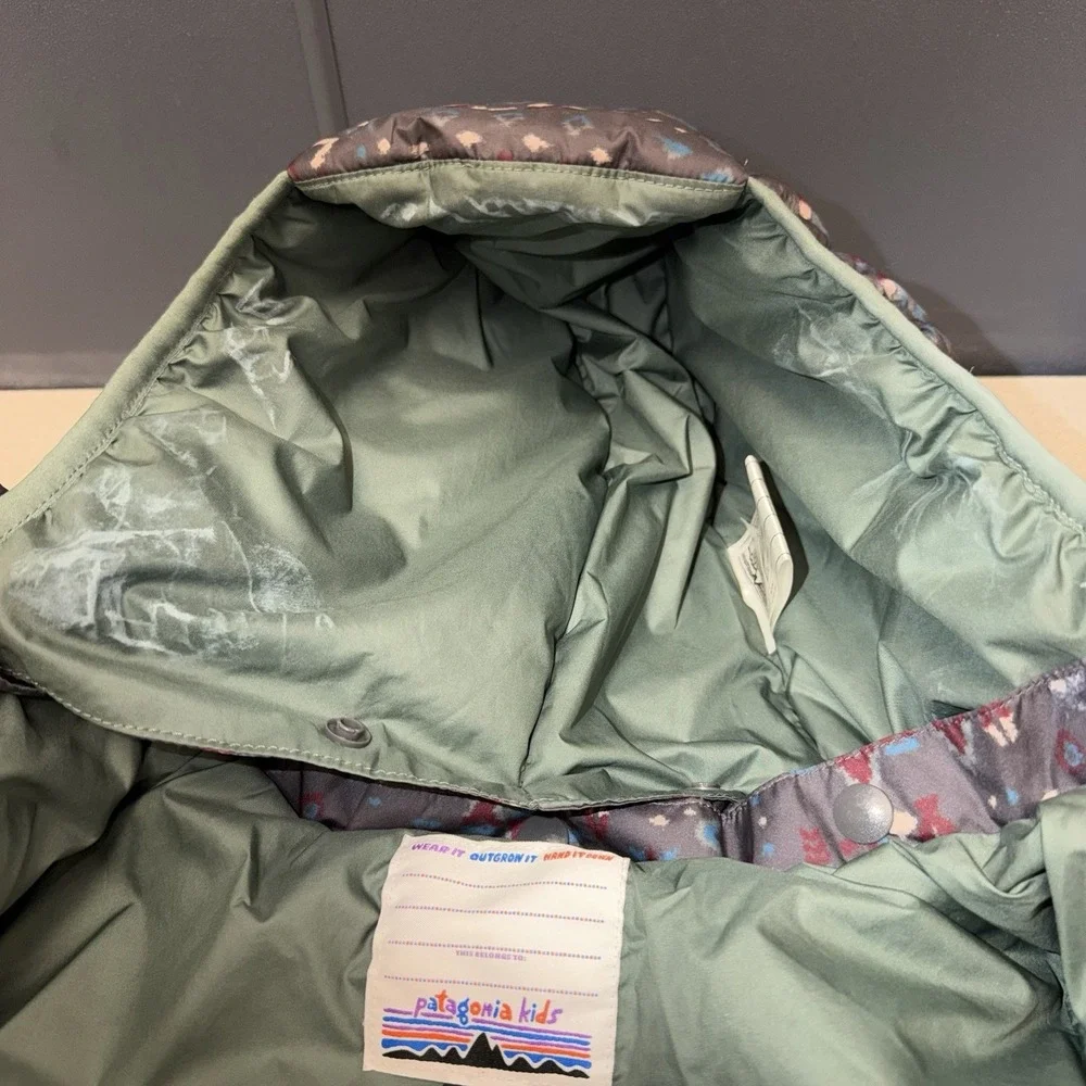 Patagonia toddler 2t
