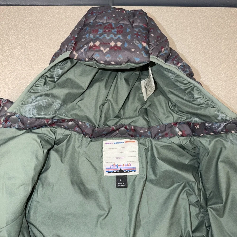 Patagonia toddler 2t