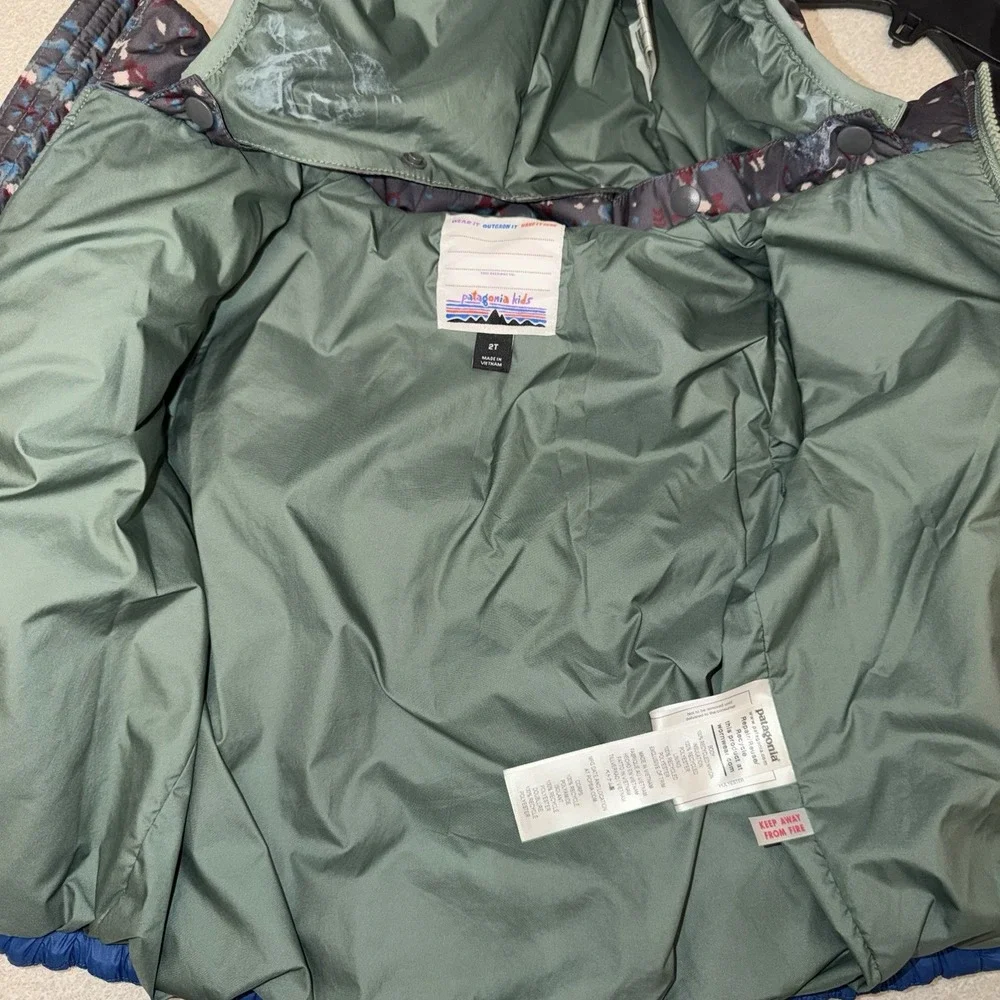 Patagonia toddler 2t
