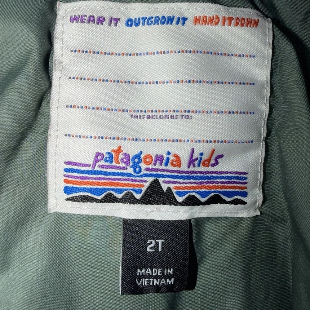 Patagonia toddler 2t