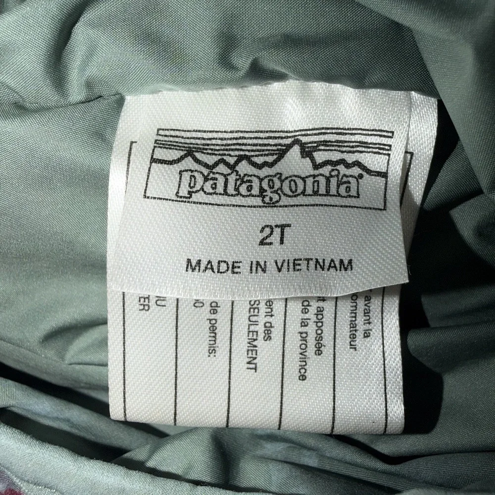 Patagonia toddler 2t