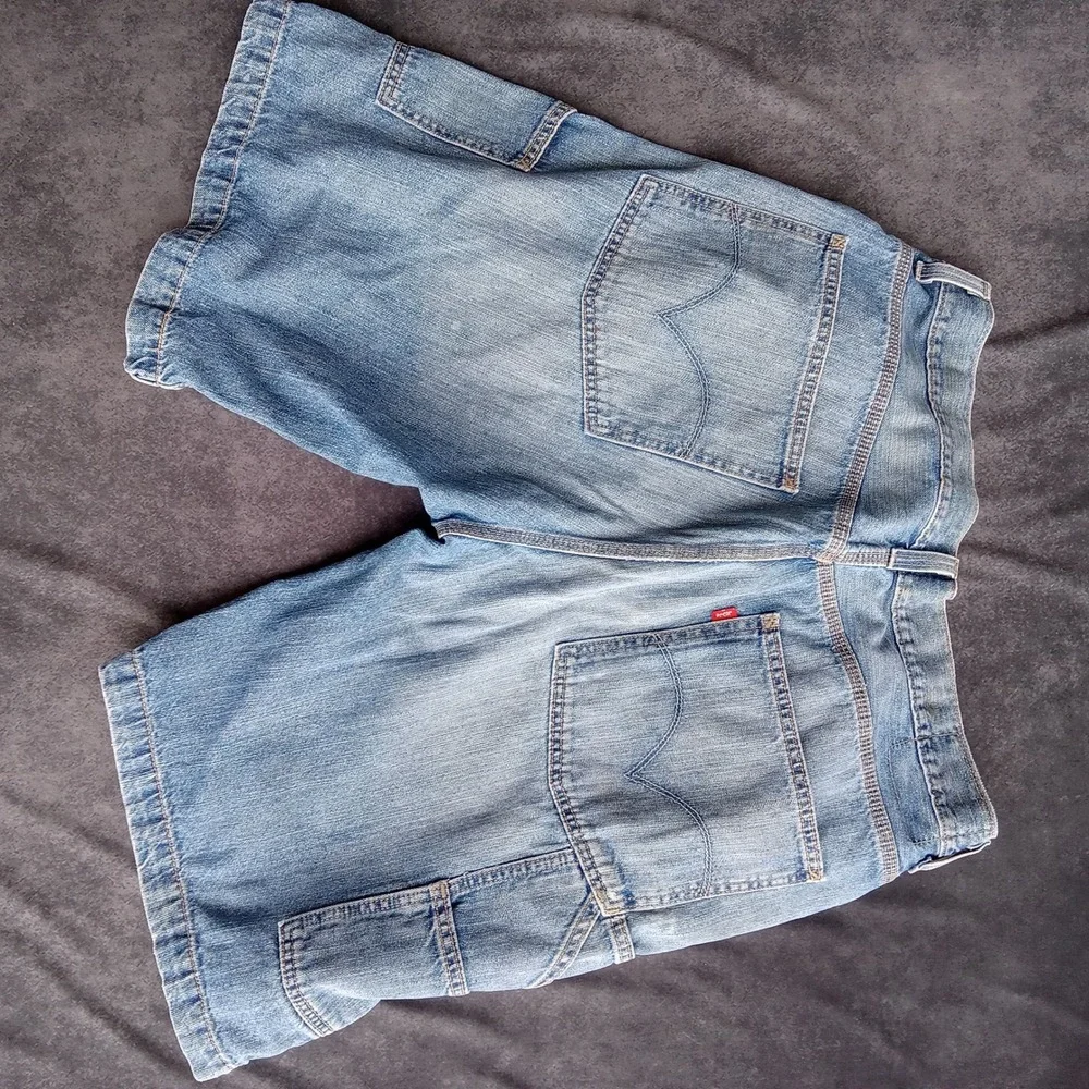 Levis levi carpenter