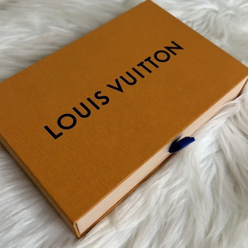 Louis Vuitton preloved louis