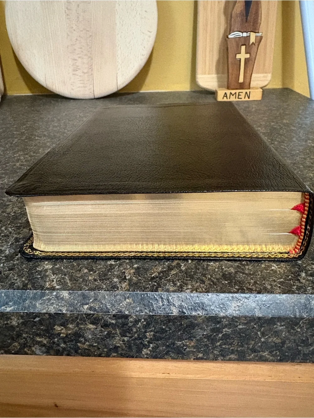 Vintage riverside bible