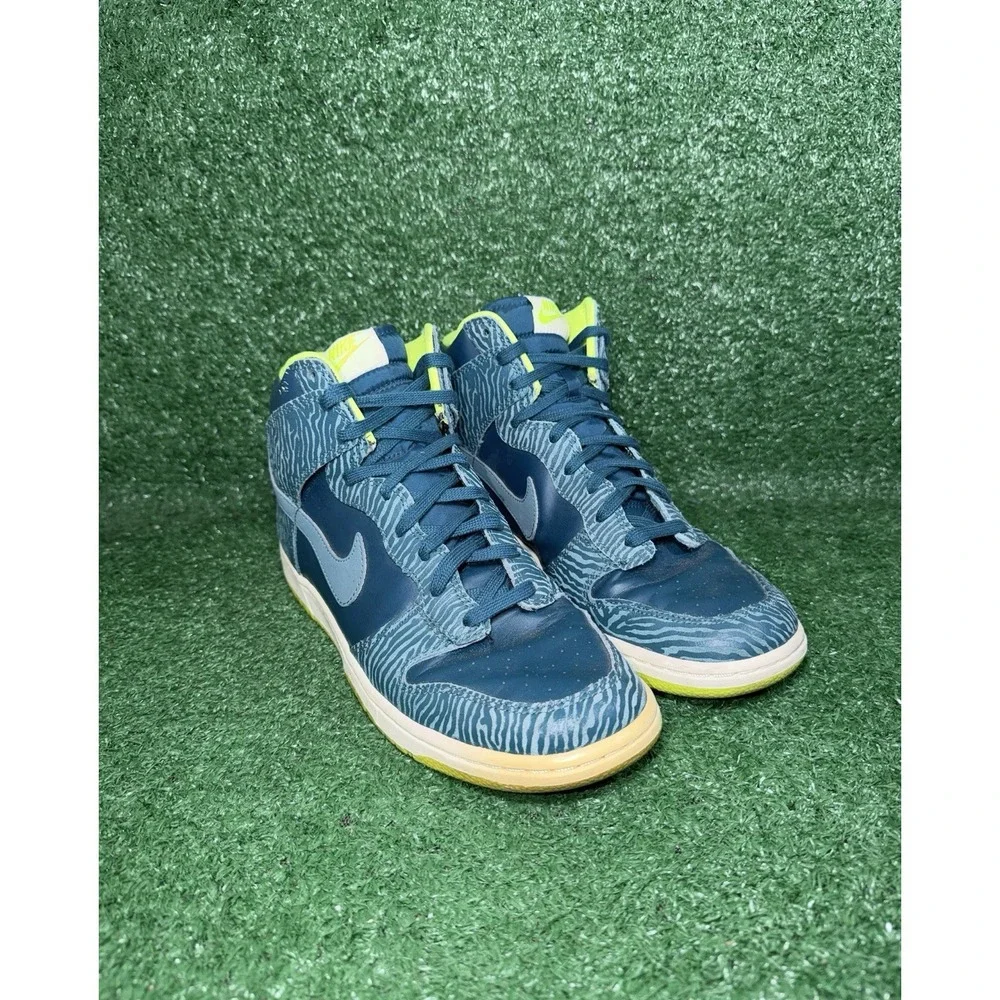 Nike dunk high