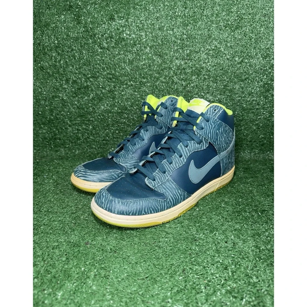 Nike dunk high